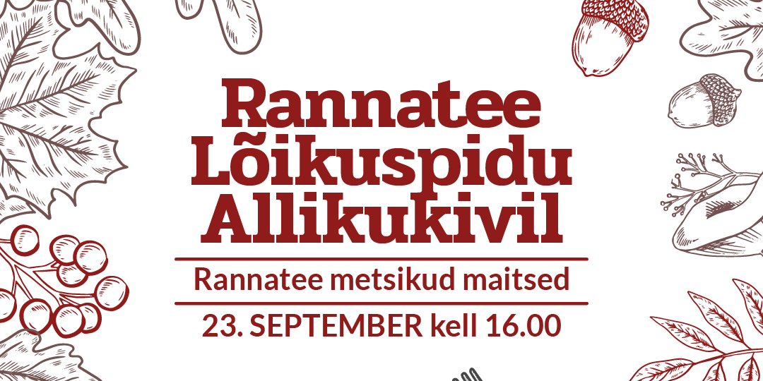 Allikukivi_loikuspidu_2023_epood_3